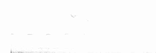Сероголовый виреон - ML617925064