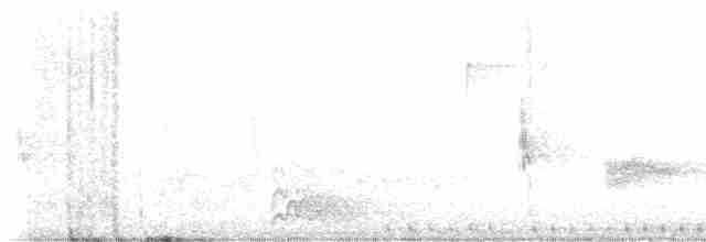 Kara Kanatlı Piranga - ML617925145