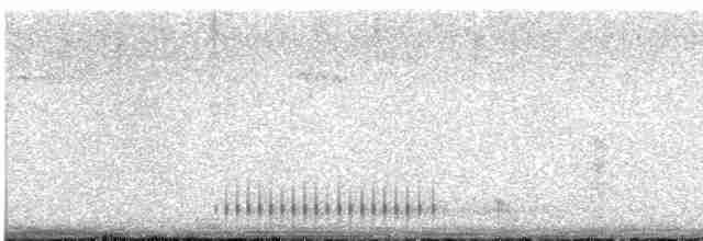 strakapoud hnědokřídlý - ML617925899