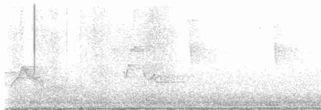 Kara Kanatlı Piranga - ML617925976