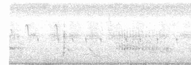 太平洋金斑鴴 - ML617926638