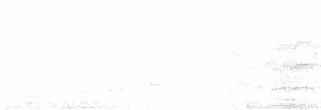 Cratérope de brousse - ML617927481