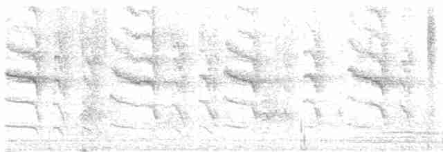 Cratérope de brousse - ML617927482