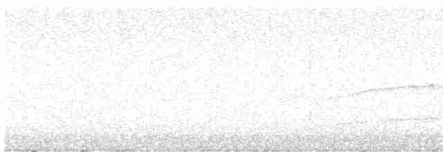dvergfalk (columbarius) - ML617927875