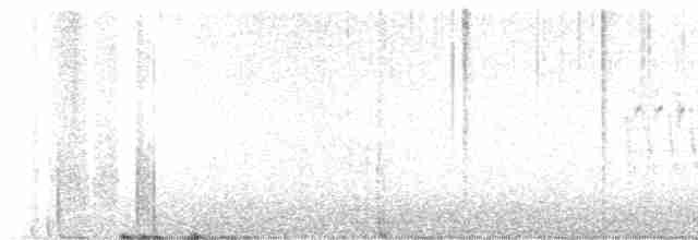 křivka bělokřídlá - ML617928061