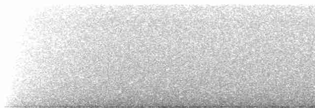 Дрізд-короткодзьоб плямистоволий - ML617928520