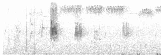 Batı Amerika Sinekkapanı (occidentalis/hellmayri) - ML617928765