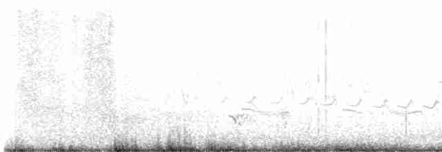 Little Ringed Plover - ML617928936