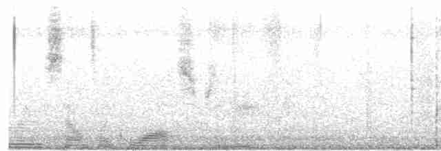Calliope Hummingbird - ML617929994