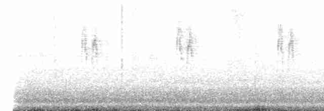 White Wagtail (British) - ML617930057