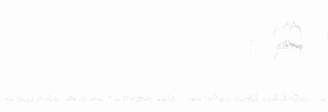 leskot modrošedý [skupina obscura] - ML617930405