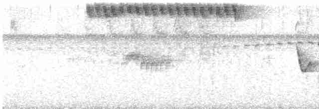 Troglodyte de Zapata - ML617933130