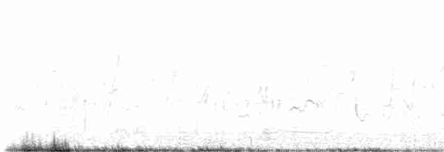疣鼻天鵝 - ML617935187