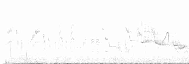 שיחנית רוננת - ML617935614