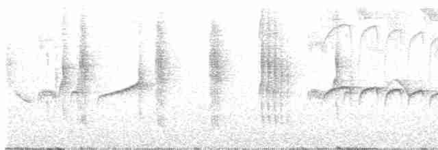 Тиран-карлик буроголовий - ML617936058