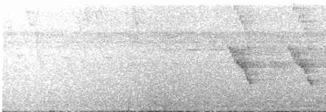 Пая гіацинтова - ML617936127