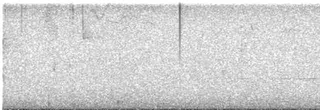 Turuncu Ardıç - ML617936288