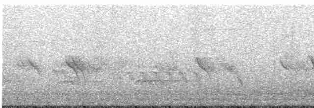 Evening Grosbeak (type 1) - ML617936381