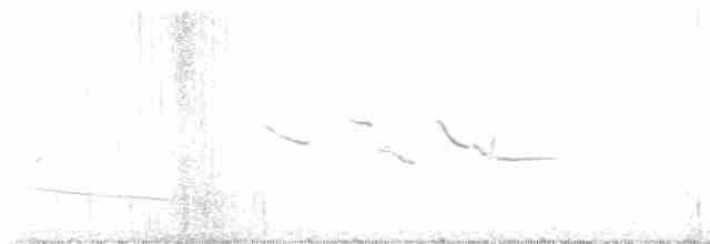 Eastern Meadowlark - ML617936521
