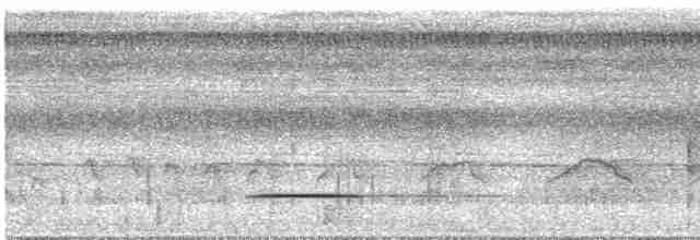 Cinereous Tinamou - ML617936531