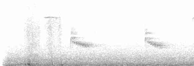 Поплітник каролінський - ML617936559
