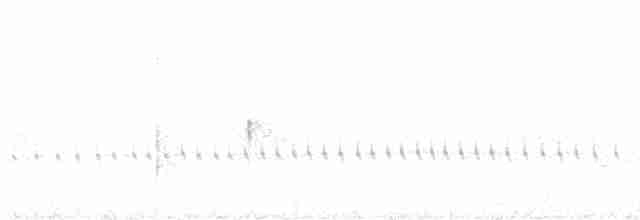 Lattice-tailed Trogon - ML617936749