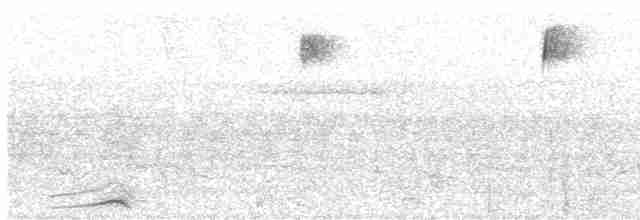 Lattice-tailed Trogon - ML617937092