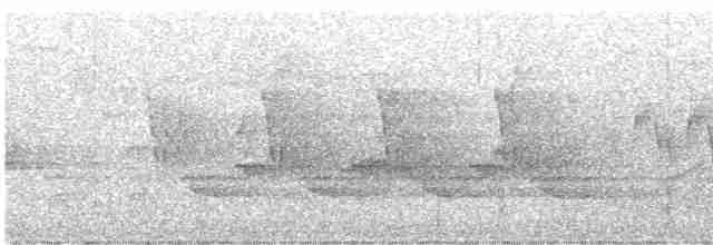 Cerulean Warbler - ML617937301