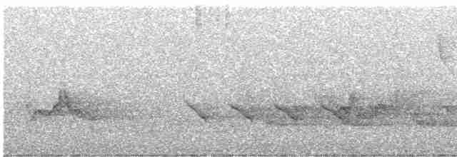 Cerulean Warbler - ML617937309
