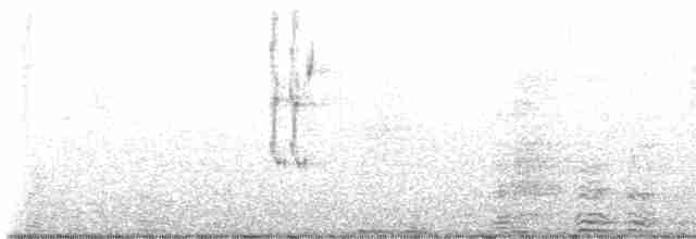 Loggerhead Shrike - ML617940016