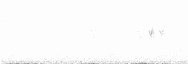 סנונית רפתות - ML617940268