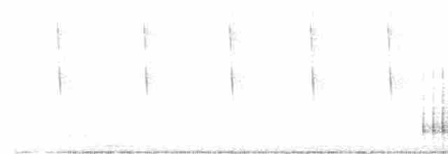 strakapoud osikový - ML617941052