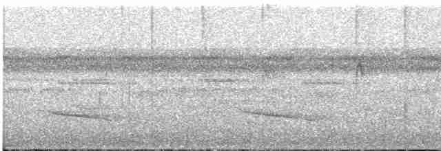 Прямоклювый колибри-отшельник - ML617941258