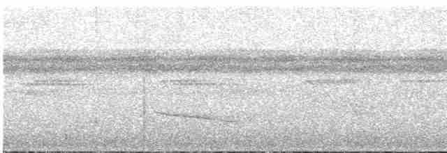 Slaty-capped Shrike-Vireo - ML617941275