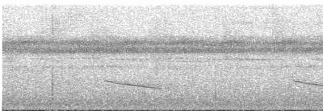 Slaty-capped Shrike-Vireo - ML617941276