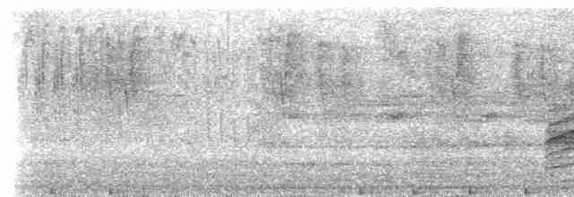 Дрізд-короткодзьоб сірий - ML617943411