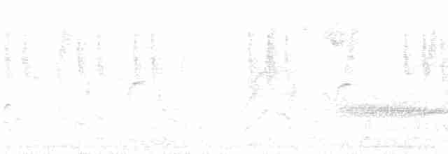 Pale-headed Brushfinch - ML617943431