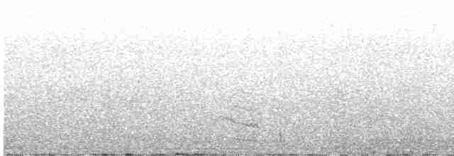 Horned Grebe - ML617943600