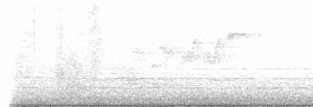 Black-throated Gray Warbler - ML617943940