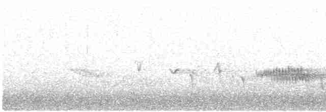 Дятел-смоктун білочеревий - ML617947850
