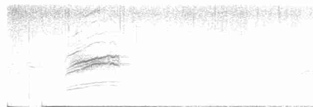 Дрізд-короткодзьоб плямистоволий - ML617948170
