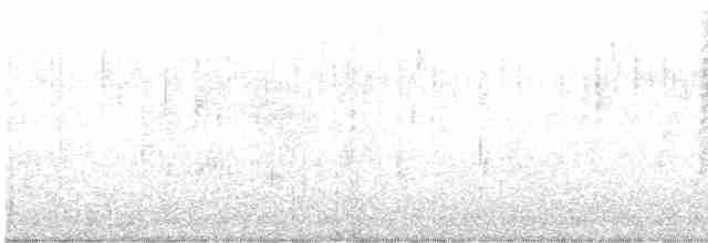 Тауї плямистий - ML617948522