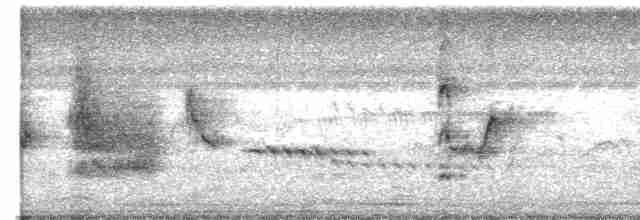 Long-tailed Shrike - ML617948757