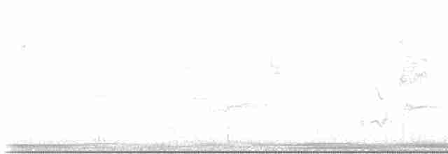 Пересмішник сірий - ML617948966