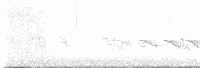 Field Sparrow - ML617949098