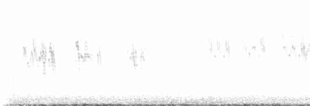 Hirondelle bicolore - ML617949173