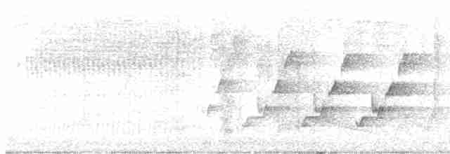 Каролинский крапивник - ML617949361