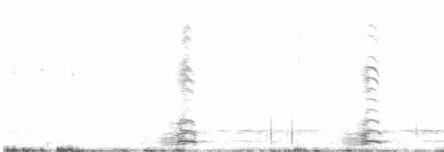 Troglodyte des marais - ML617950001
