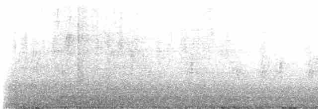 סנונית רפתות (אמריקנית) - ML617950135