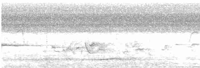 Stork-billed Kingfisher - ML617951470